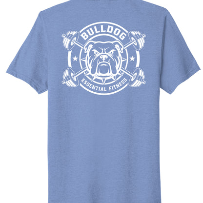 Carolina Blue Heather - PC330 - BACK